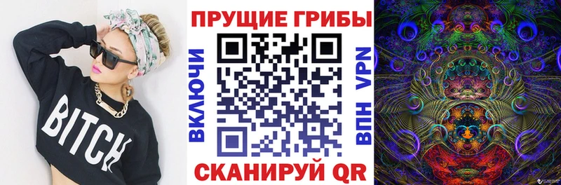 Галлюциногенные грибы мицелий  Данилов 