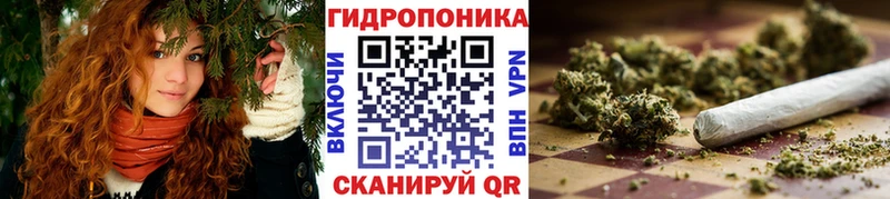 магазин продажи Данилов Бошки Шишки план